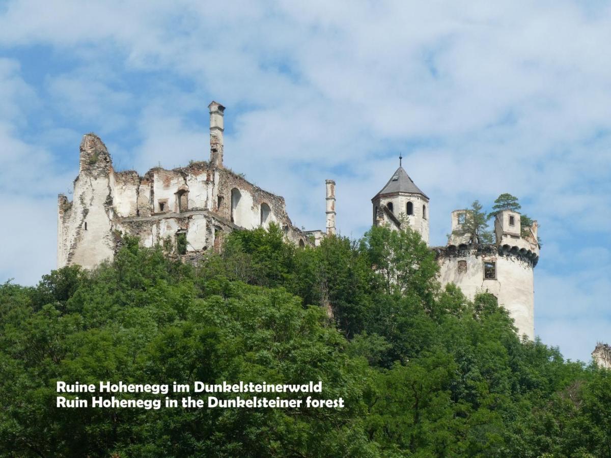 Gaestehaus Am Weinberg - Schlager Prinzersdorf Экстерьер фото